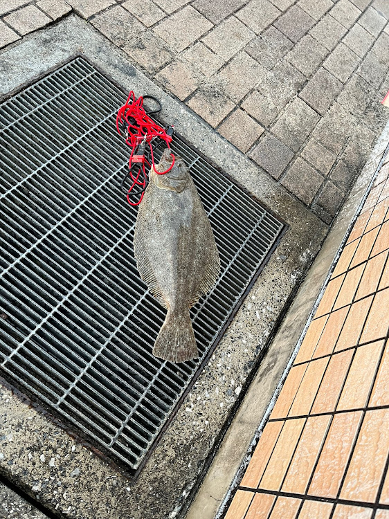 IS Fの海の見える風景・あさかつ・サーフィン・釣り・ヒラメ釣りに関するカスタム事例の投稿画像4枚目