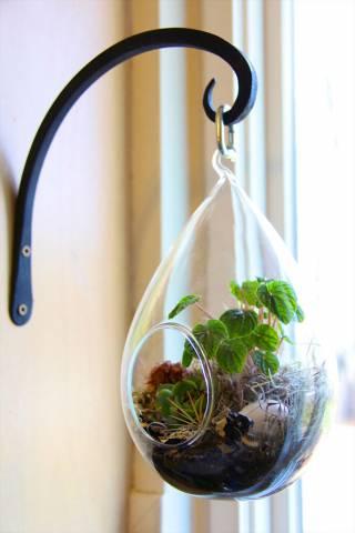 DIY Terrarium