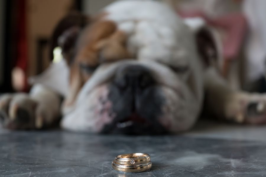 Fotógrafo de casamento Giandomenico Cosentino (giandomenicoc). Foto de 8 de setembro 2017