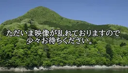 文豪ストレイドッグス 私が皆を助けます！