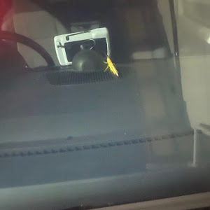 アップ！ 3ドア