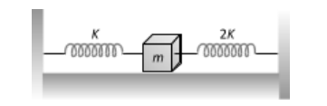 Spring-Mass System