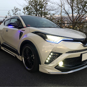 C-HR ZYX10