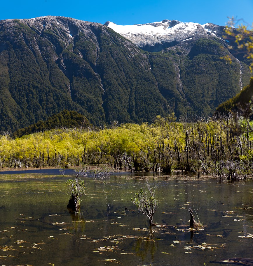 Патагония: Carretera Austral - Фицрой - Торрес-дель-Пайне. Треккинг, фото.