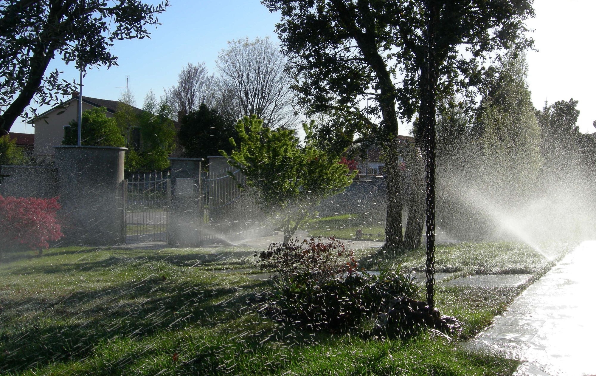 SC SC SC SC - Irrigatori in azione di dan