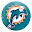 Miami Dolphins New Tab