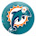 Miami Dolphins New Tab