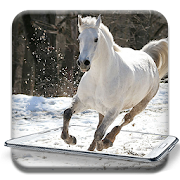 Running Horse pictures and Live wallpaper  Icon