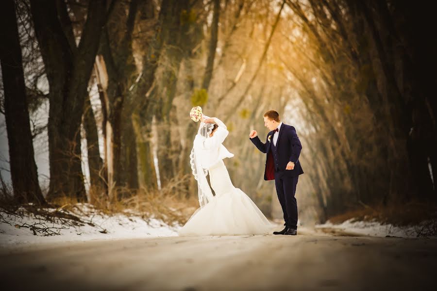 結婚式の写真家Aleksandr Bogoradov (ctsit)。2015 3月13日の写真