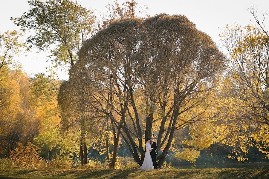 Bröllopsfotograf Vadim Arzyukov (vadiar). Foto av 7 november 2015