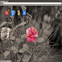 Unique Flower Theme 1280x720 Chrome extension download