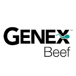 GENEX Beef Apk