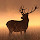 Deer Wallpapers Deer New Tab HD