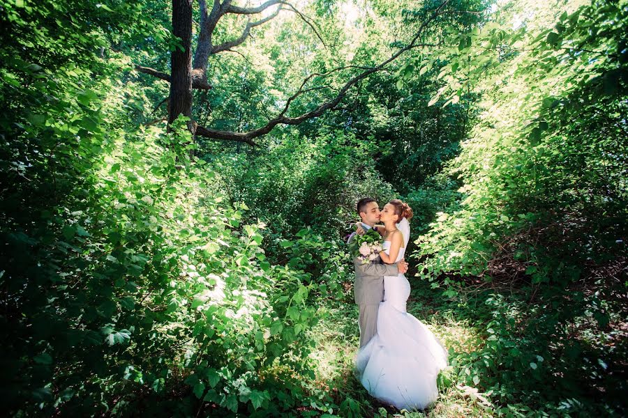 Wedding photographer Alena Ageeva (amataresy). Photo of 20 February 2017