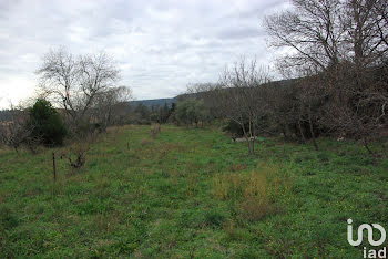 terrain à Félines-Minervois (34)