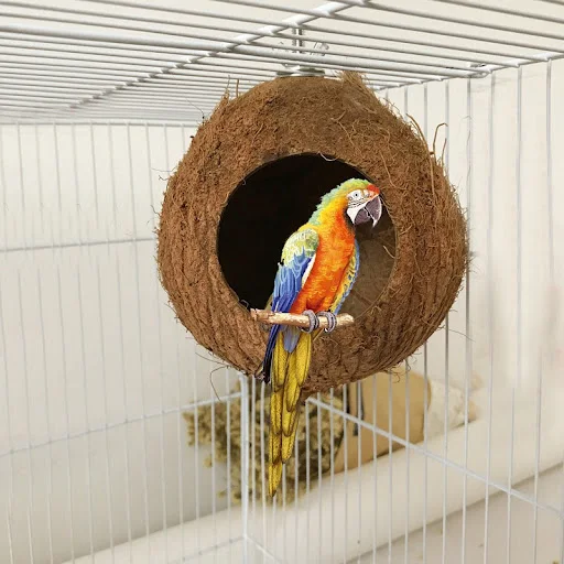 Natural Coconut Shell Bird Cages Parrot House Nesting House Cage With Hanging Nest For Small Pet Parakeets Finches Sparr