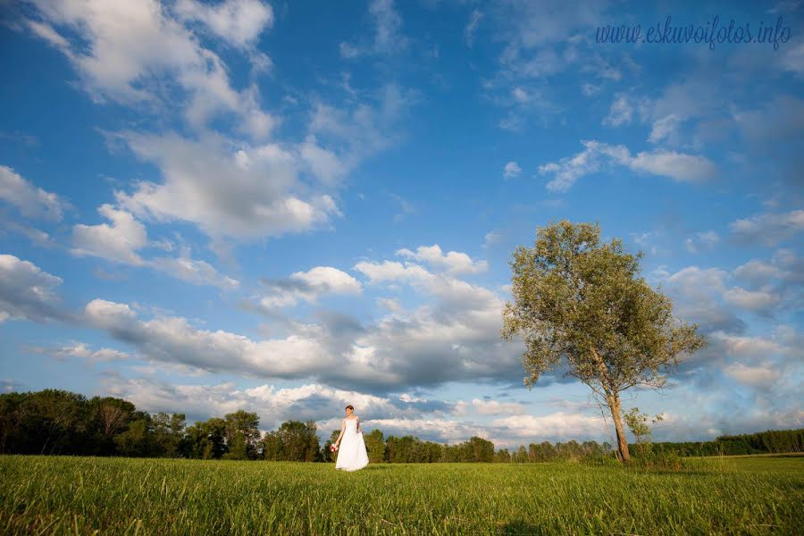 Wedding photographer András Fekete (andrasfekete). Photo of 3 March 2019