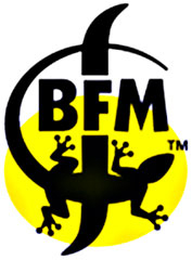 Logo of BFM Square Root 225 Sour Saison