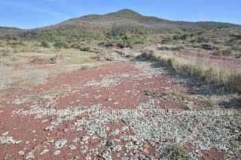 terrain à Liausson (34)