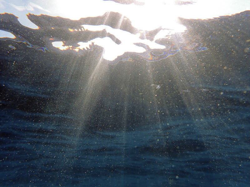 filtra un raggio di sole negli abissi   di lugiube