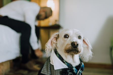 Fotógrafo de bodas Andres Hernandez (andresh). Foto del 14 de diciembre 2018