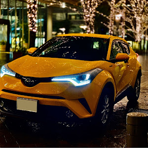 C-HR ZYX10