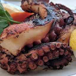 Octopus Skaras