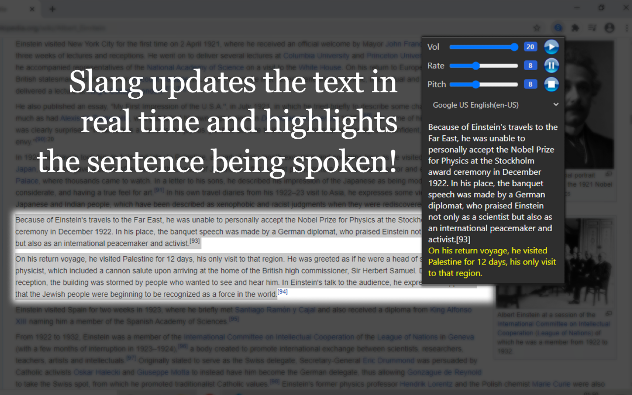 Slang - Text to Speech Preview image 4