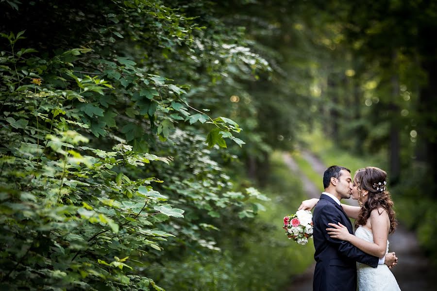 Hochzeitsfotograf Reza Shadab (shadab). Foto vom 17. März 2017