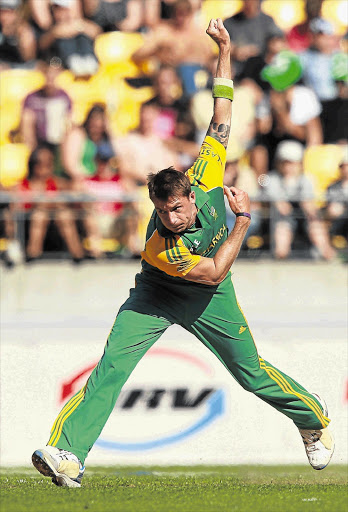 Napier groundsman Phil Stoyanoff believes Dale Steyn will bowl up a storm on the green top pitch when the Proteas play the Black Caps tomorrow Picture: HAGEN HOPKINS/GALLO IMAGES