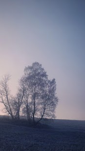 Free Download weather live wallpaper APK for Android