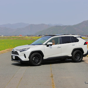 RAV4 AXAH54