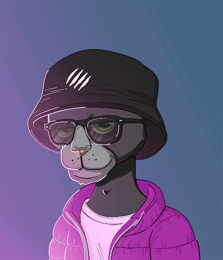 Midnight Panthers