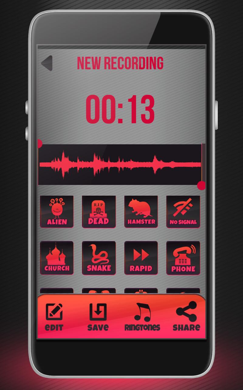 Voice Recorder and Editor Screen 3