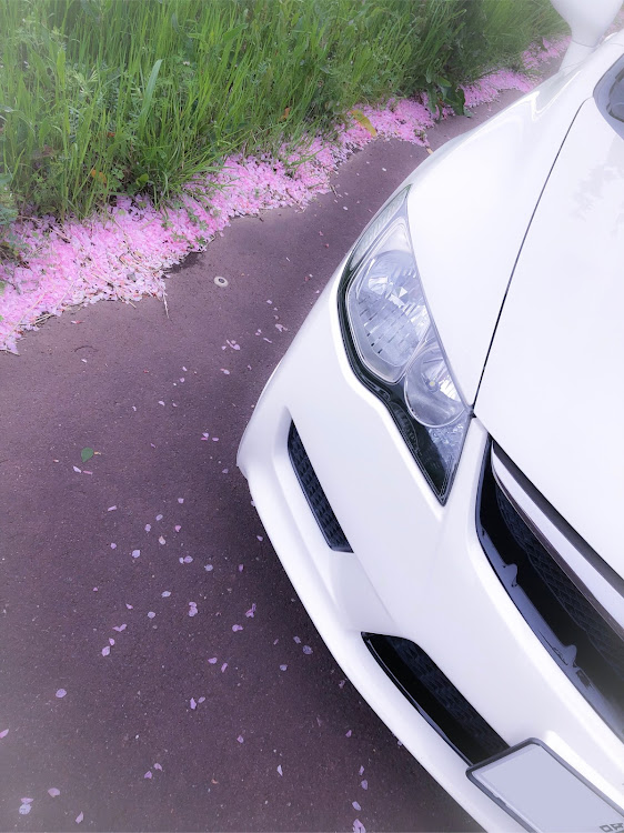 シビックタイプRの八重桜・りこほわ・ゆるふわ・ドライブに関するカスタム事例の投稿画像1枚目