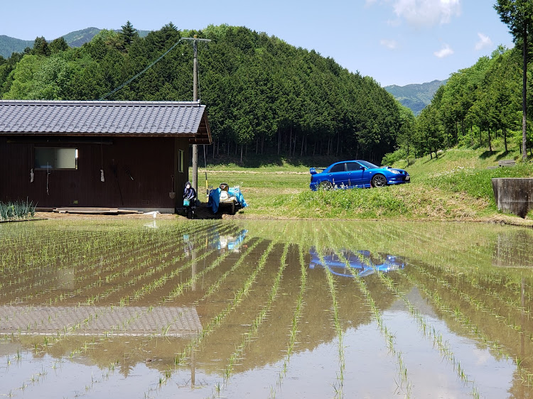 の投稿画像2枚目