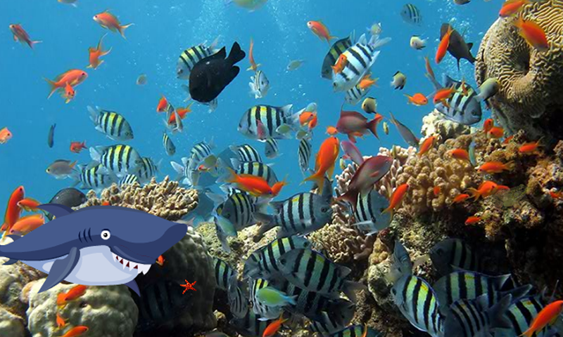 Android application Rescue Koo Koo Fish screenshort