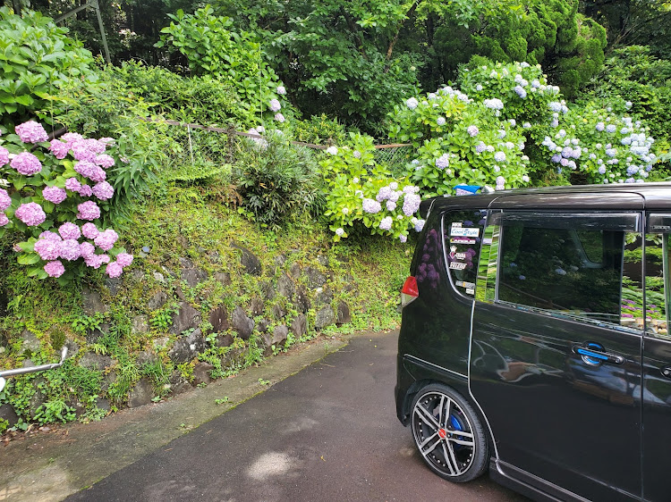 ソリオの紫陽花と愛車・MA15Sソリオ・キリッ顔に関するカスタム事例の投稿画像4枚目