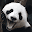 WAStickerApps Bears Funny Download on Windows