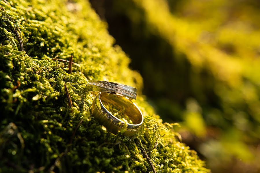 Fotógrafo de bodas Petr Dvořáček (petrdvoracek). Foto del 17 de noviembre 2023