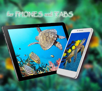 Tortoises Sea live wallpaper(圖6)-速報App