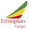 Ethiopian Cargo icon