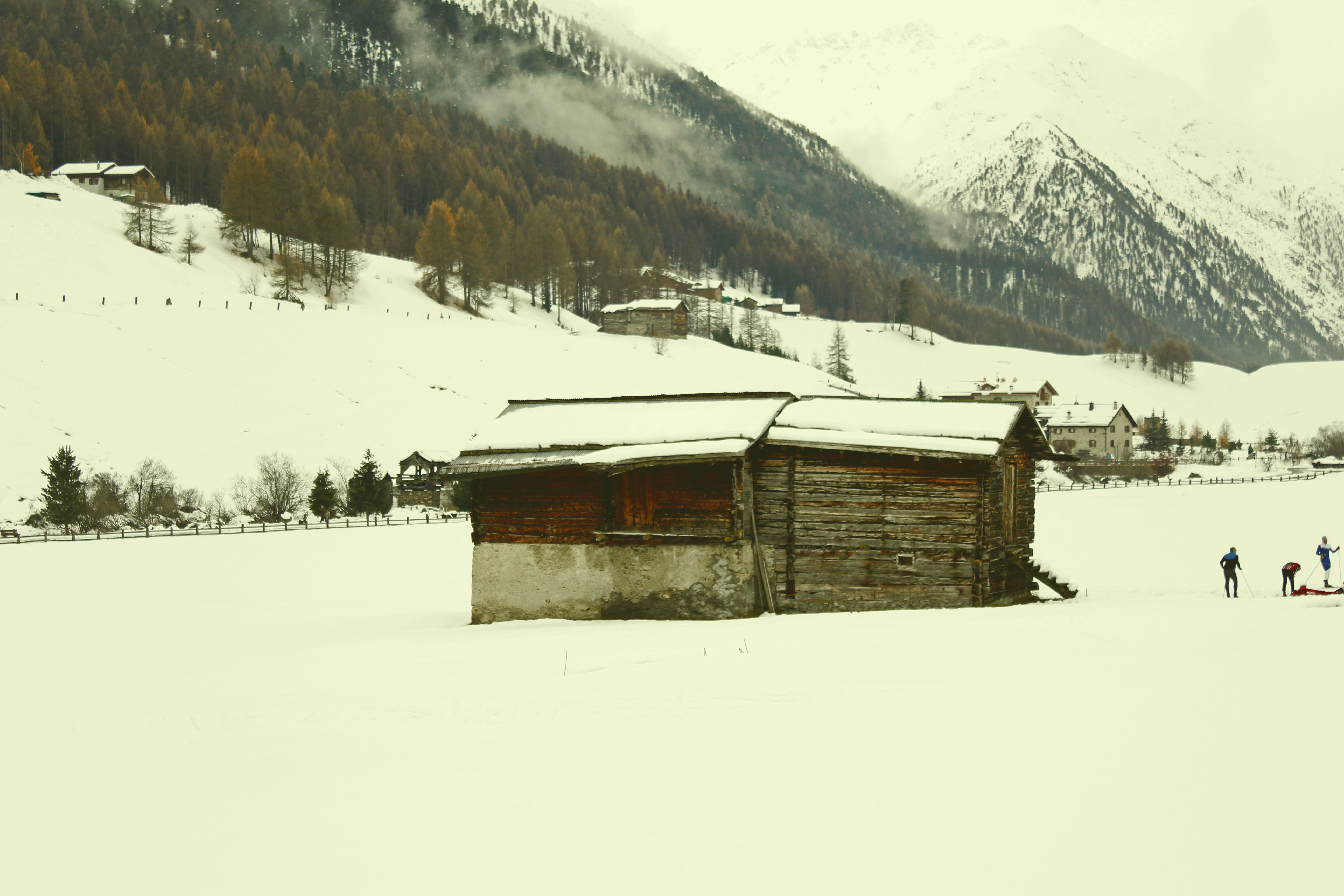 Paesaggio invernale di madd