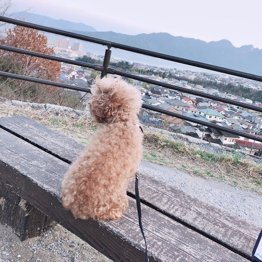 Riotoのプロフィール画像