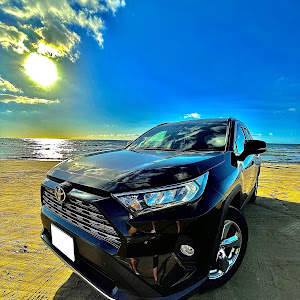 RAV4 MXAA54