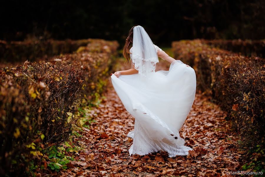 Wedding photographer Ciprian Băbușanu (babusanu). Photo of 9 November 2021