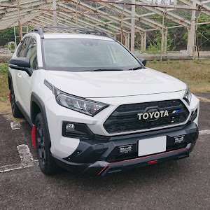 RAV4 MXAA54