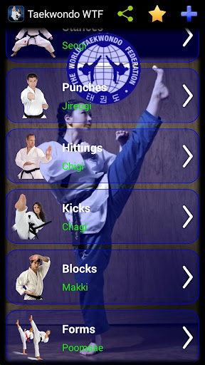 Taekwondo WTF