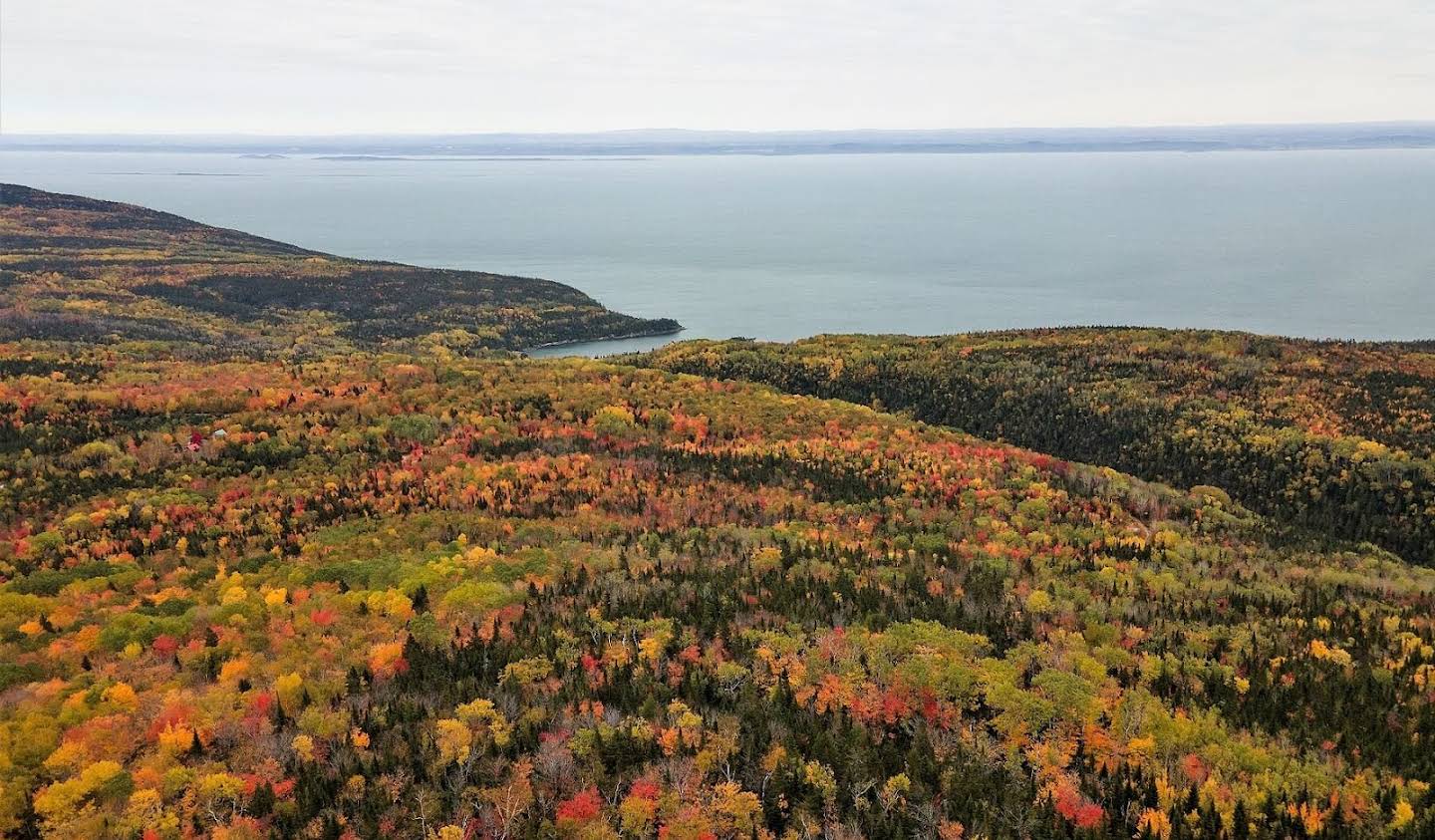 Terrain La Malbaie