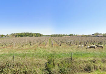 terrain à Cissac-Médoc (33)